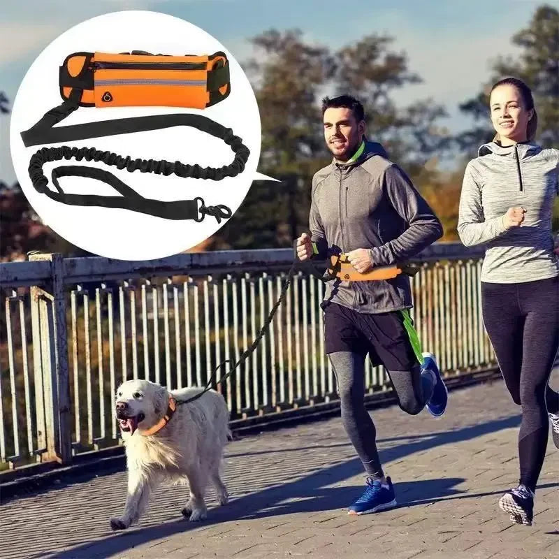 Ceinture banane avec poche zippée et bande réfléchissante pour promener son chien