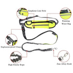 Laisse de course pour chien avec ceinture, 5 coloris