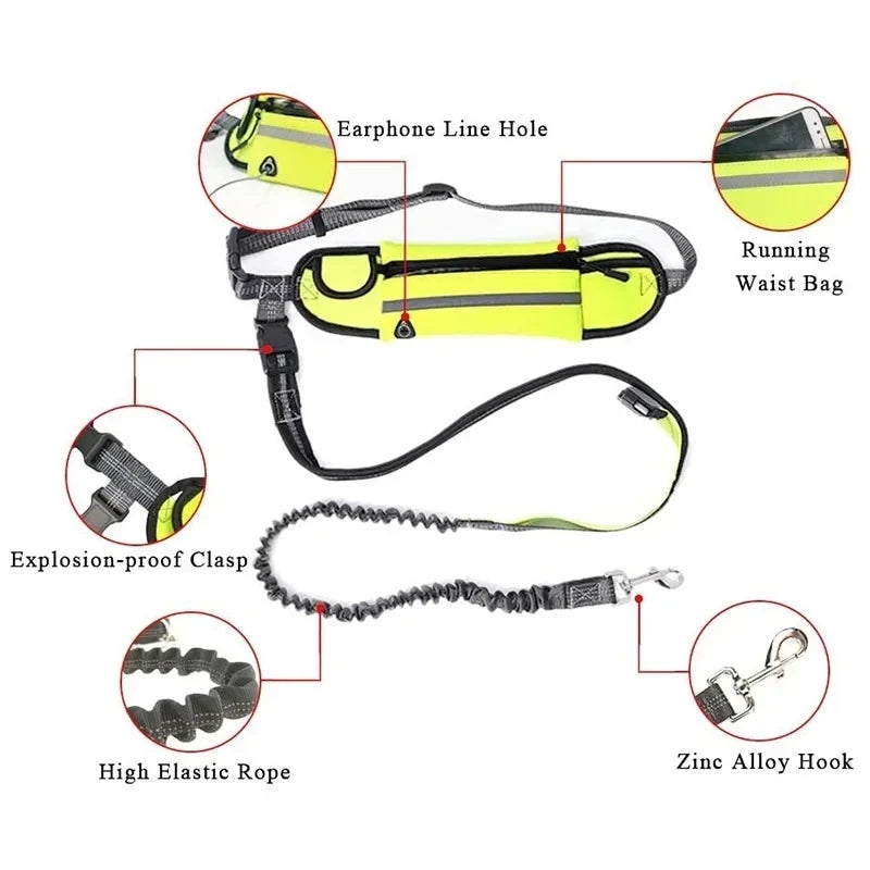 Laisse de course pour chien avec ceinture, 5 coloris