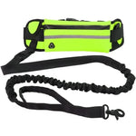 Laisse ceinture pour chien, mains libres pendant la balade